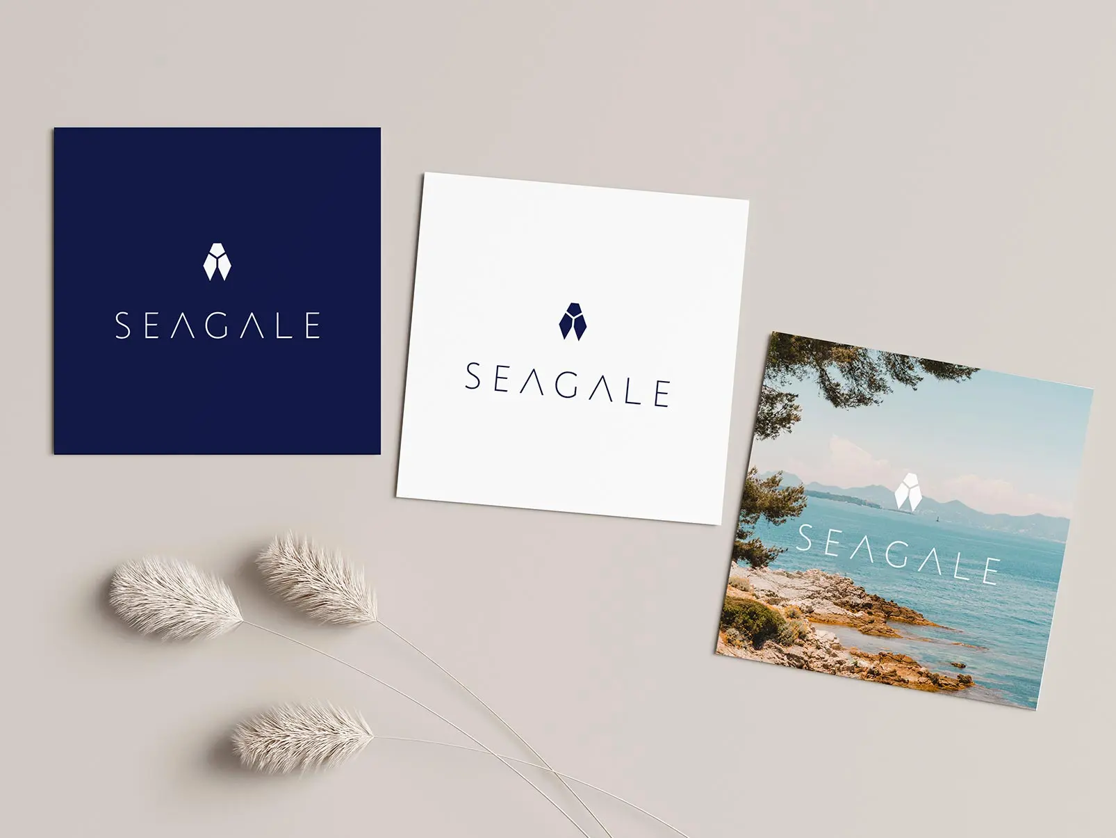 Visuels cartons Seagale